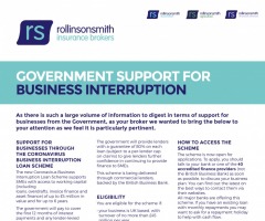 Government Support For Business Interruption